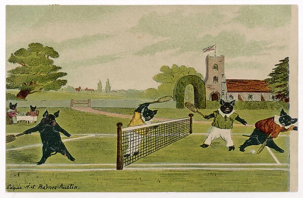 Pigs Playing Tennis 1904