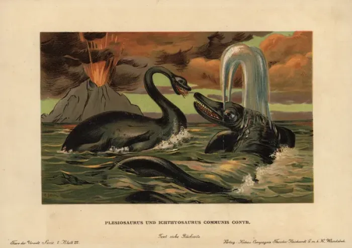 Framed Print : Plesiosaurus and Ichthyosaurus Print, 1910 Framed Print : Plesiosaurus and Ichthyosaurus Print, 1910
