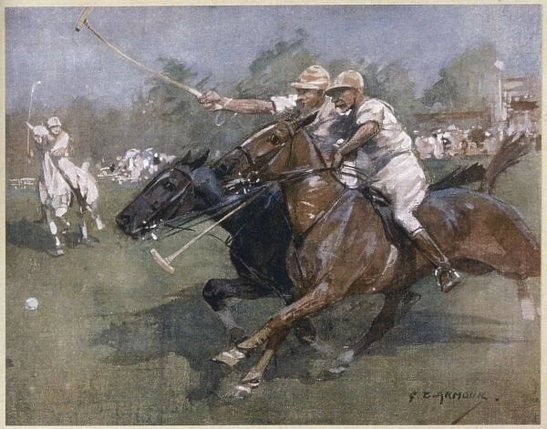 During a Polo Match