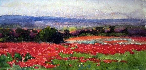 A poppy field, France, c 1918