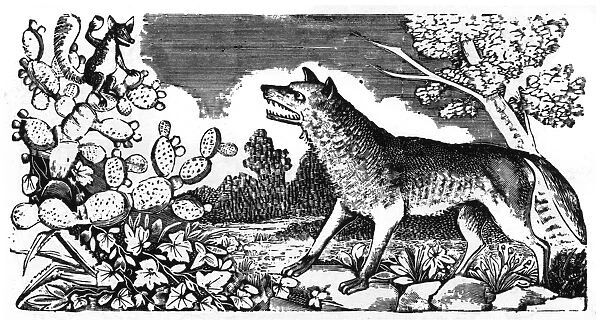 Posada, Story of the Wolf and the Fox
