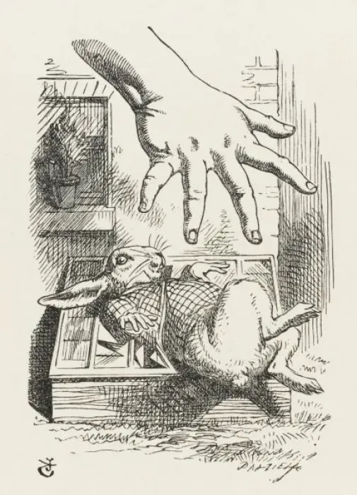 Framed Print : Print of the White Rabbit in a Cucumber Frame Framed Print : Print of the White Rabbit in a Cucumber Frame