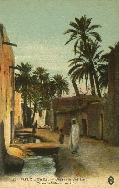 A road in Old Biskra. With date palms