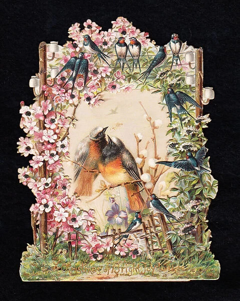 Robins and swallows on a cutout Christmas card