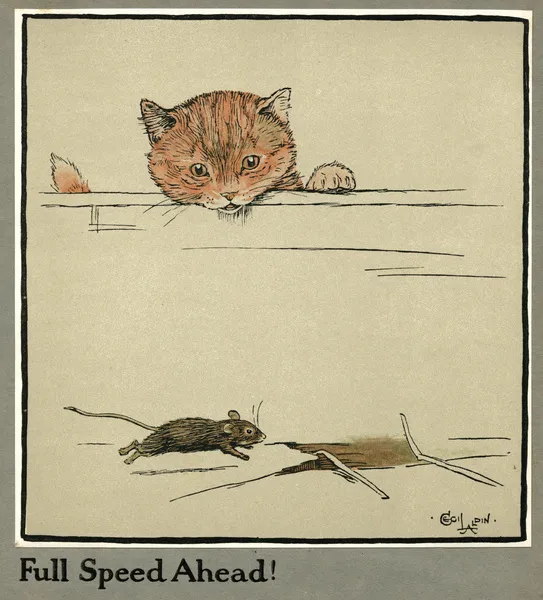 Rufus the cat watches a mouse For sale as Framed Prints Photos