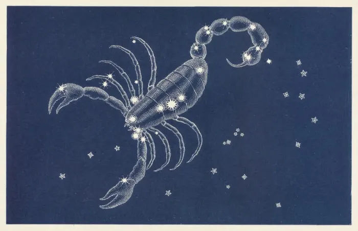 Framed Print : Scorpio Constellation Print Framed Print : Scorpio Constellation Print