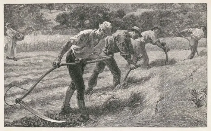 Framed Print : Scything the Hay Print Framed Print : Scything the Hay Print