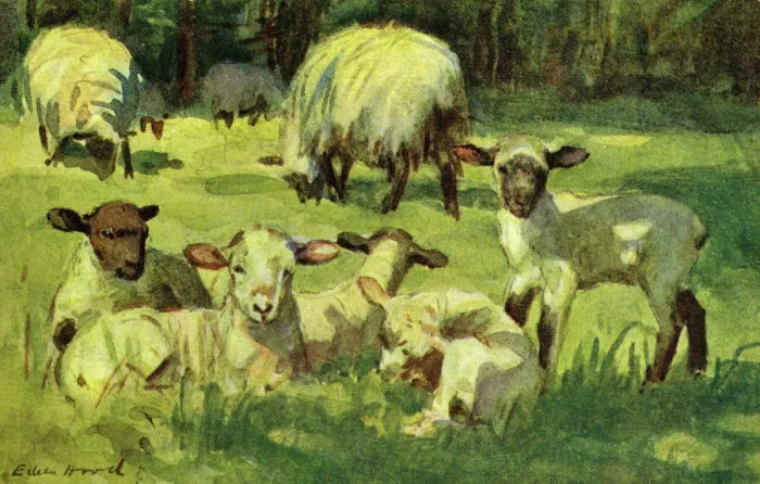 Framed Print : Sheep & Lambs Print: Farm Babies Series, 1917 Framed Print : Sheep & Lambs Print: Farm Babies Series, 1917