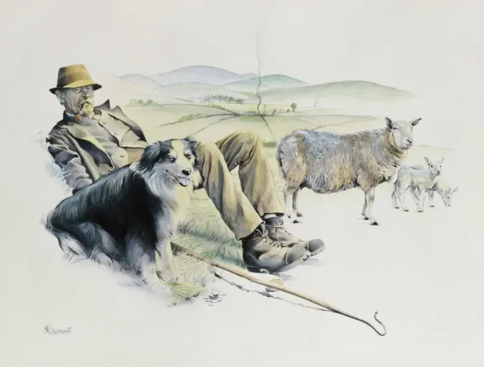 Framed Print : Shepherd at Rest Print by Malcolm Greensmith Framed Print : Shepherd at Rest Print by Malcolm Greensmith
