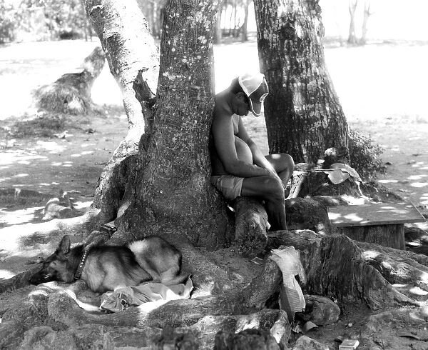Sleeping man with dog, La Digue, Seychelles