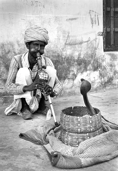 snake charmer pictures