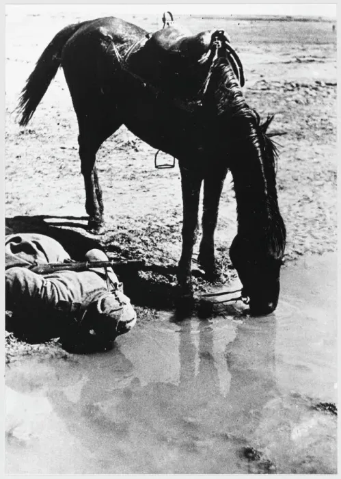 Framed Print : Soviet Cavalryman Print Framed Print : Soviet Cavalryman Print