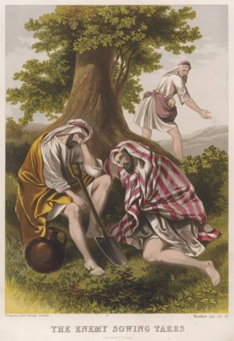 Framed Print : Print of The Sower of Tares
