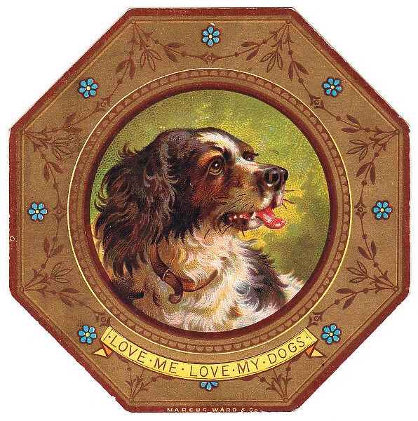 Spaniel on plate design on a greetings card