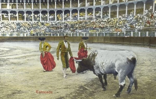 Spanish Bullfighting Series (9  /  12)