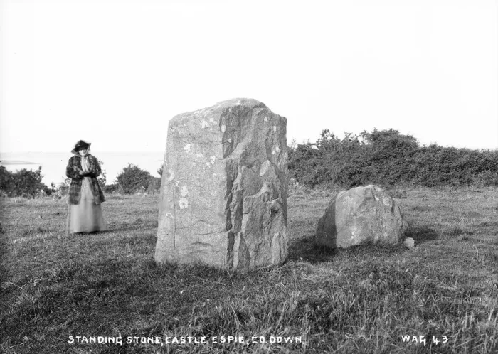 Framed Print : Standing Stone Print, Castle Espie