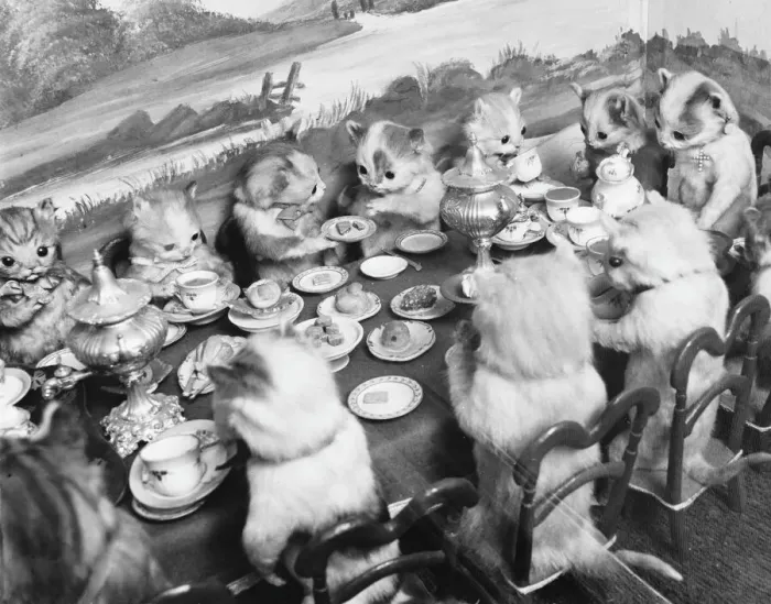 Framed Print : Stuffed Kittens Lunch Print