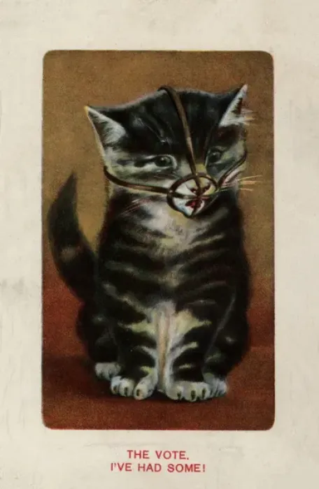 Framed Print : Suffragette Cat in Muzzle Print, circa 1912 Framed Print : Suffragette Cat in Muzzle Print, circa 1912