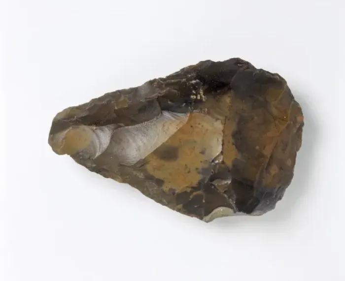 Framed Print : A Swanscombe Hand Axe Print, 500,000 - 300,000 years old Framed Print : A Swanscombe Hand Axe Print, 500,000 - 300,000 years old