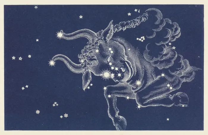 Framed Print : Taurus Constellation Print Framed Print : Taurus Constellation Print