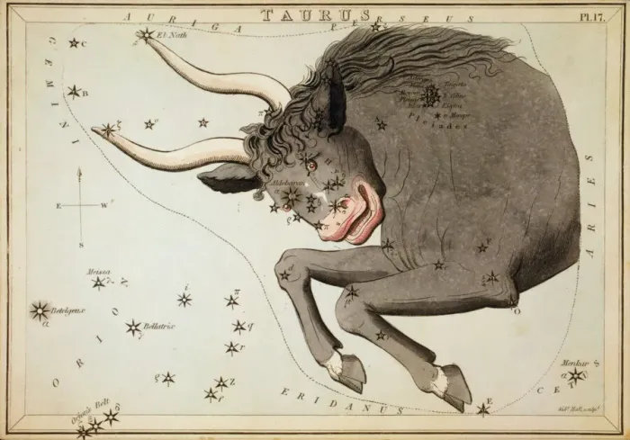 Framed Print : Print of Taurus Constellation with Pleiades, 1825 Framed Print : Print of Taurus Constellation with Pleiades, 1825