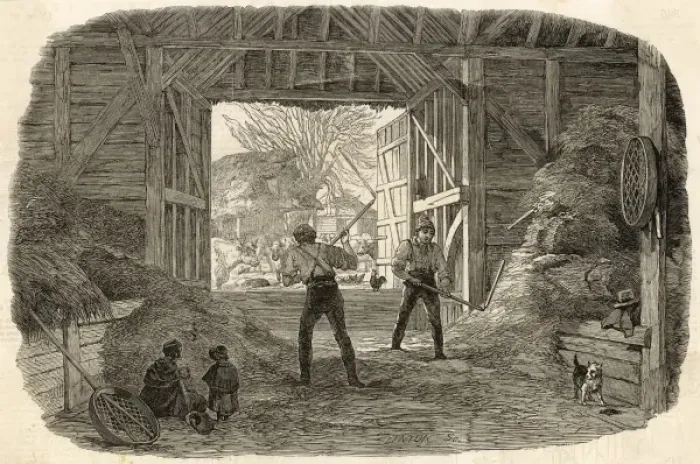 Framed Print : Threshing Print: Hand Threshing Scene in a Barn Framed Print : Threshing Print: Hand Threshing Scene in a Barn