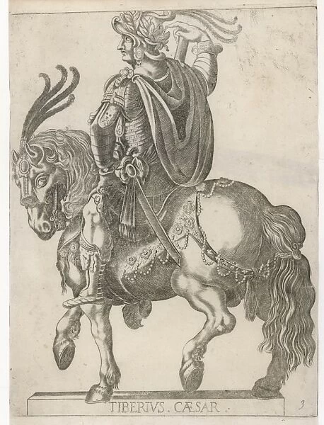Tiberius Caesar  /  Horse