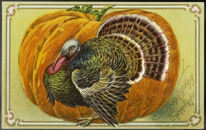 Framed Print : Turkey and Pumpkin Print Framed Print : Turkey and Pumpkin Print
