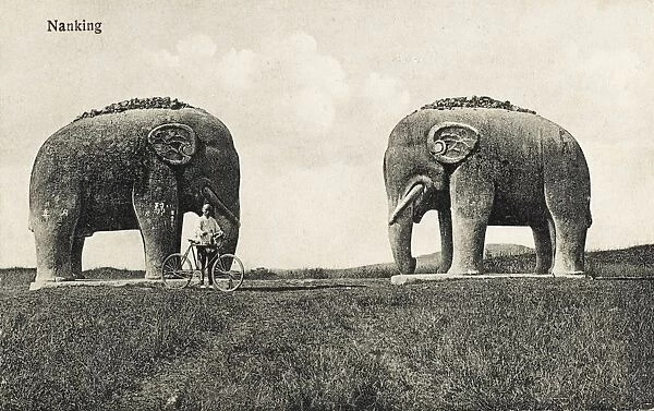 Twin Elephant statues at Nanjing, China