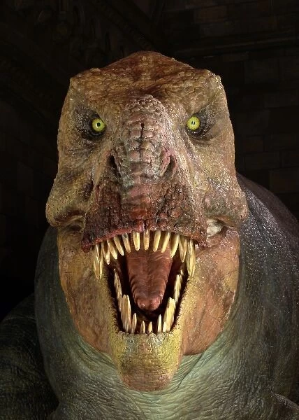 Tyrannosaurus rex, Upper Cretaceous dinosaur