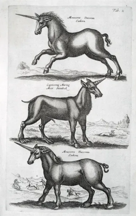 Framed Print : Three Unicorns Print, 1660 Framed Print : Three Unicorns Print, 1660