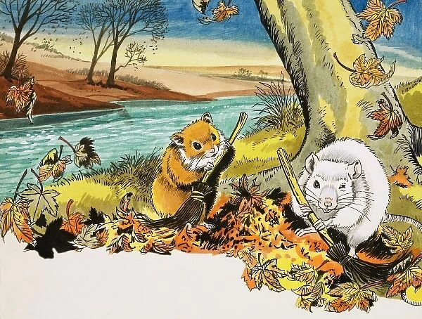 Unidentified scene of mice sweeping autumn leaves