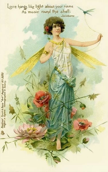 Victorian flower fairies