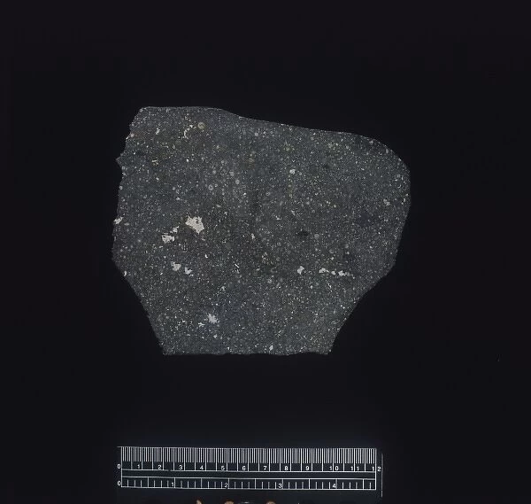 Vigarano CV3 chondrite