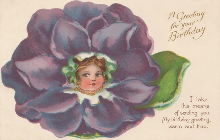 Framed Print : Violet Flower Faces Print circa 1908 Framed Print : Violet Flower Faces Print circa 1908