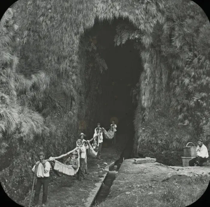 Framed Print : Black and White Print of Levada Tunnel, Madeira circa 1890s Framed Print : Black and White Print of Levada Tunnel, Madeira circa 1890s