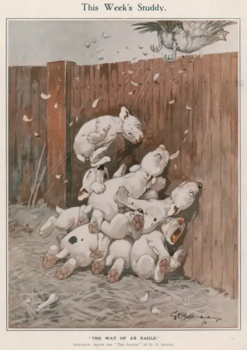 Framed Print : Print of Puppies in Disarray Framed Print : Print of Puppies in Disarray