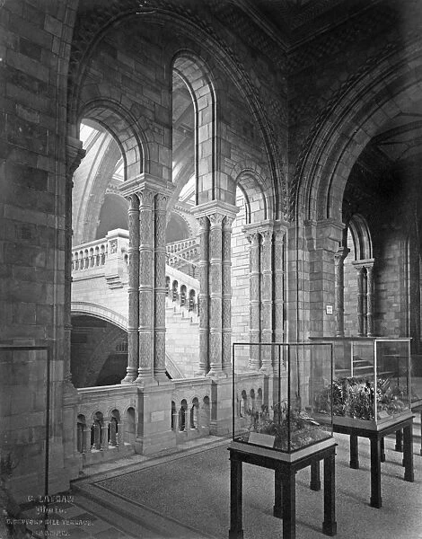 West corridor, the Natural History Museum 1882