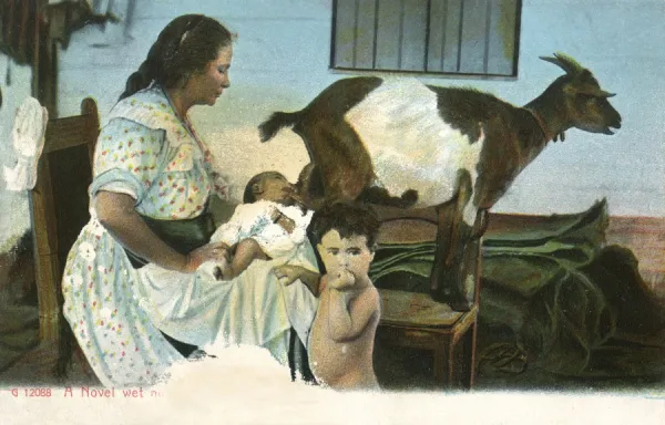 Wet nurse feeds baby using a goat