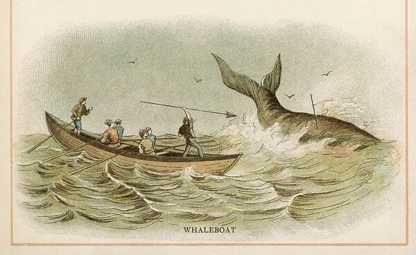 Whaling in 1880
