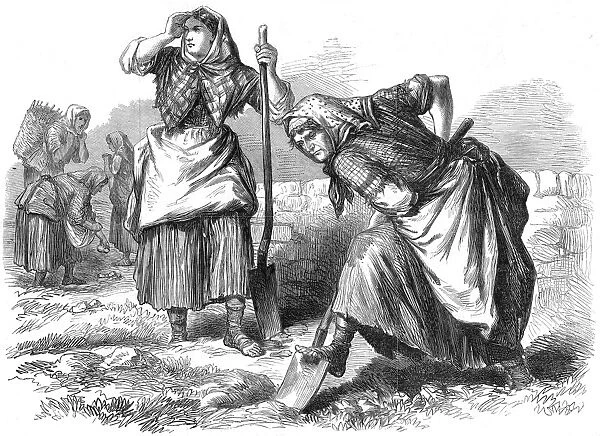 Women working in the fields, Roscommon, Ireland