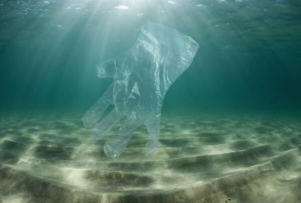 13132599. Transparent plastic glove drifting in the ocean