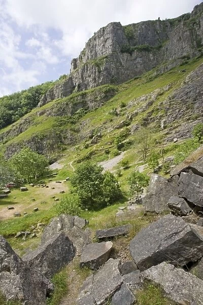 Cheddar Gorge - The karst limestone cliffs and calcareous grassland form an important wildlife habitat for many unusal plants and animals including Greater horshoe bats which roost in the caves. Somerset, UK