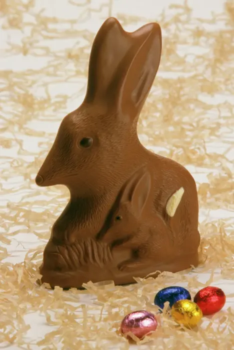 Framed Print : Chocolate Bilby Print - Australia's Easter Bunny Framed Print : Chocolate Bilby Print - Australia's Easter Bunny