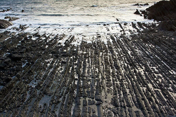 The dramatic heavily-folded sandstone and mudstone rocks of Hartland Quay - north Devon - UK