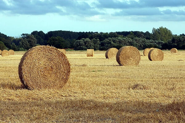 Farming - straw bales in field. Picardie - France