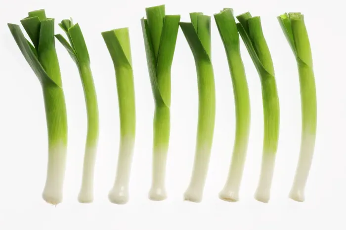 Framed Print : Scallion Leeks Print Framed Print : Scallion Leeks Print