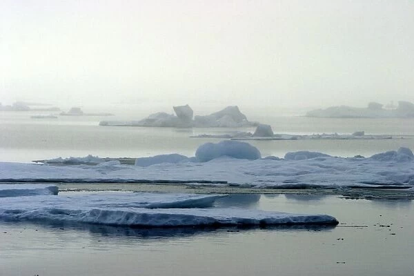 Ice floe - in mist North Svalbard, Spitzbergen, Norway