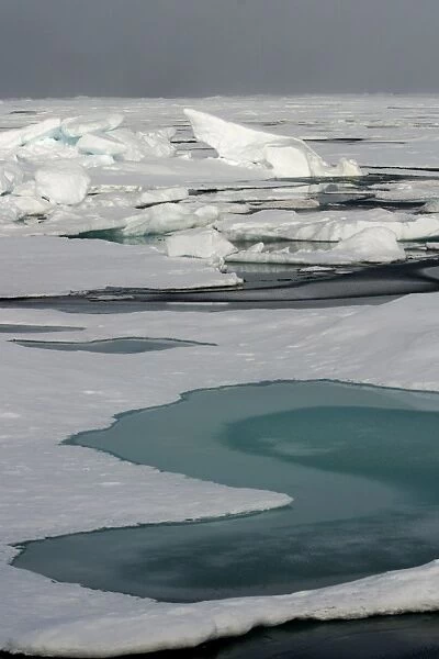 Ice Floe North Svalbard, Spitzbergen, Norway