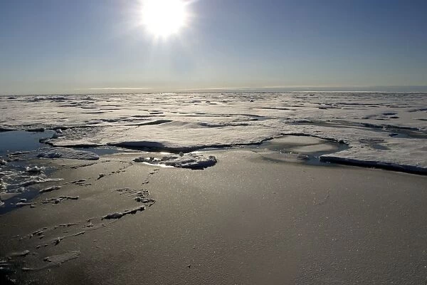 Ice Floe - and sun North Svalbard, Spitzbergen, Norway